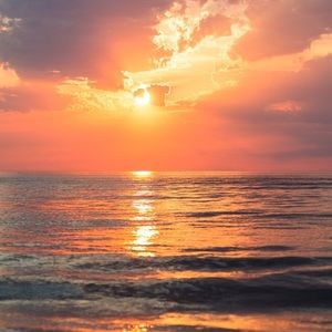 Meet your Posher, Dany